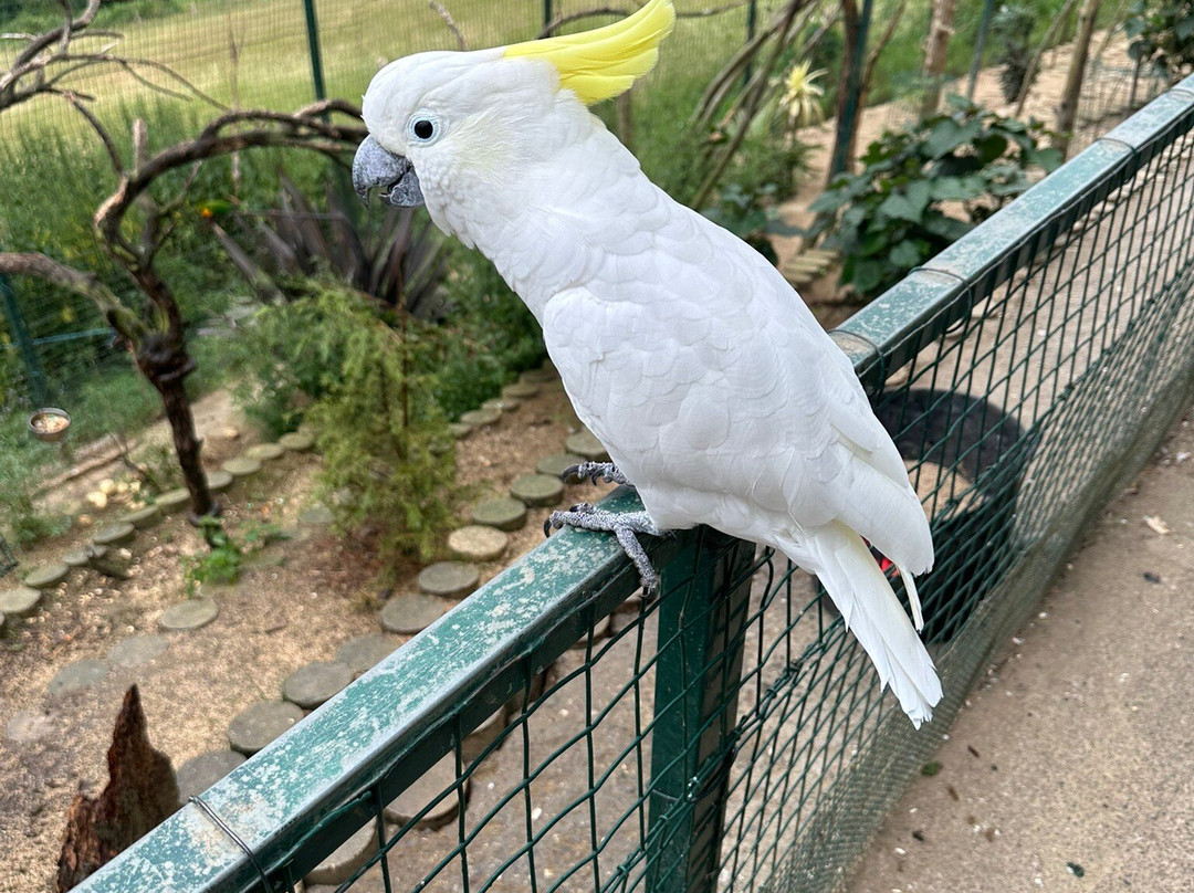 Zoologico El Bosque-奥维耶多必去景点