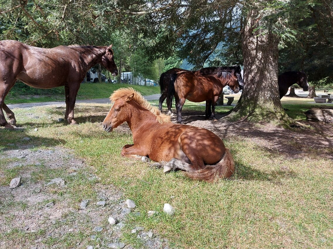 Lac D'Estaing-Estaing必去景点