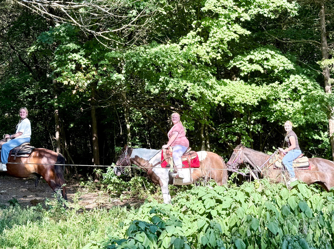 Bear Creek Trail Rides and Stable-Walnut Shade必去景点