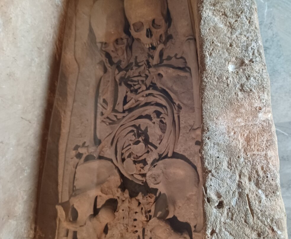 Museo Provincial-雷阿尔城必去景点