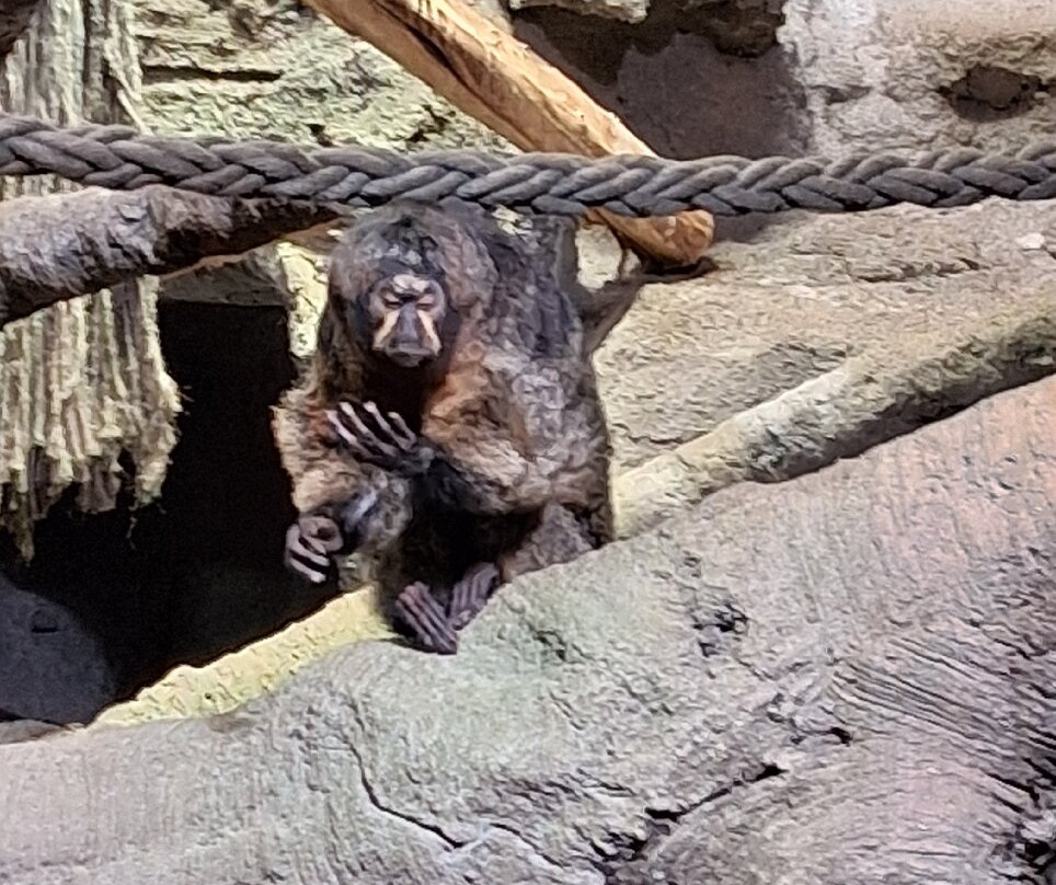 AQUATIS Aquarium Vivarium Lausanne-洛桑必去景点