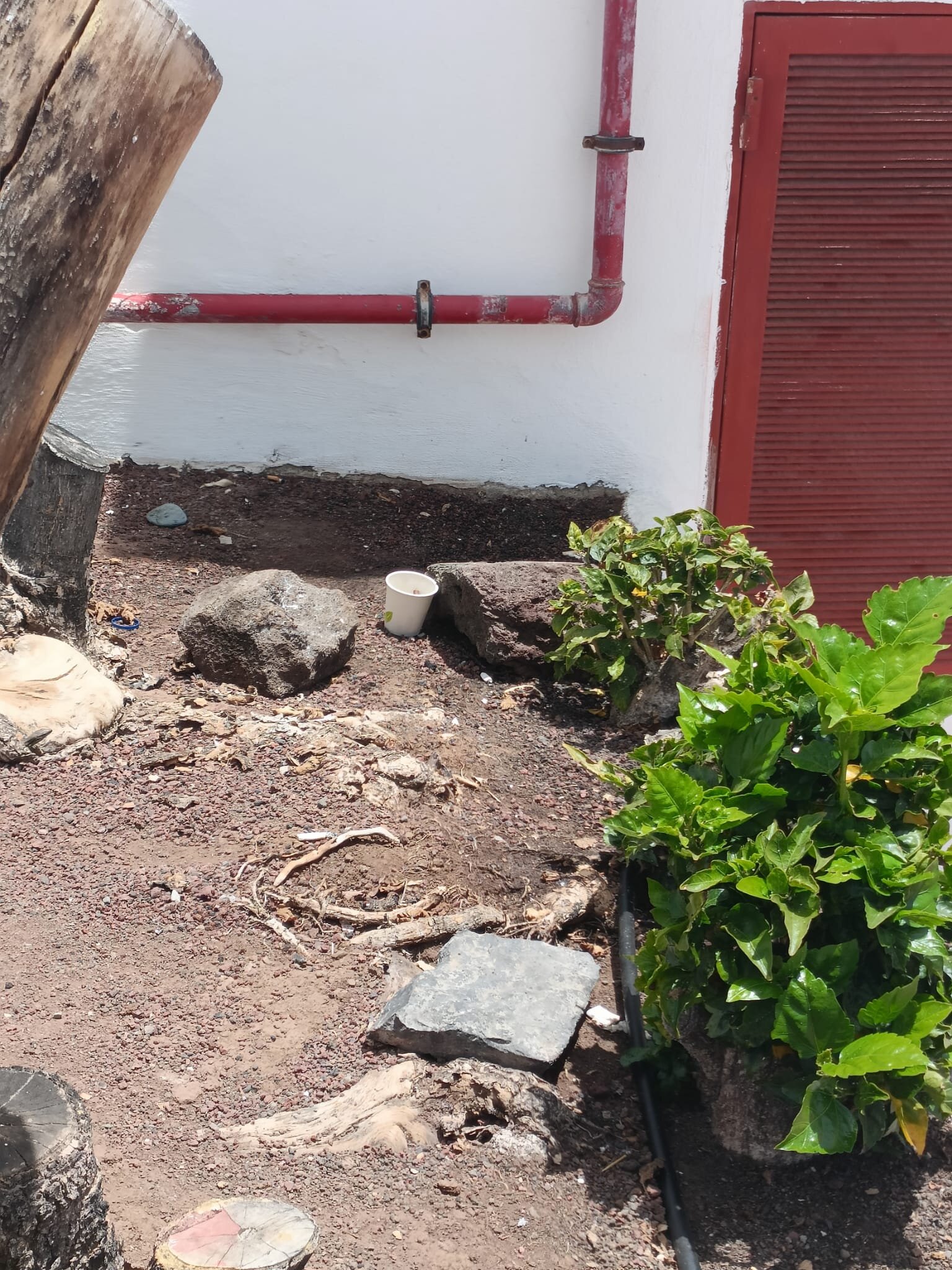 BLUESEA Callao Garden-泳池