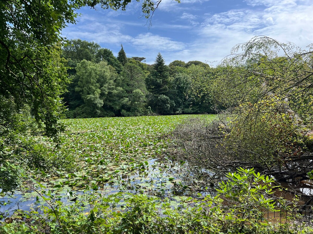 L'Épopée des Sens - Château de Martinvast-Martinvast必去景点