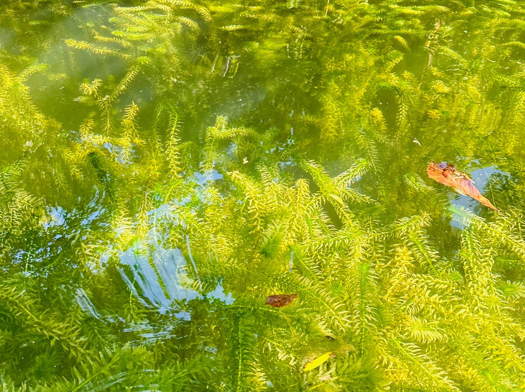 Canal Canoë-拉罗谢尔必去景点