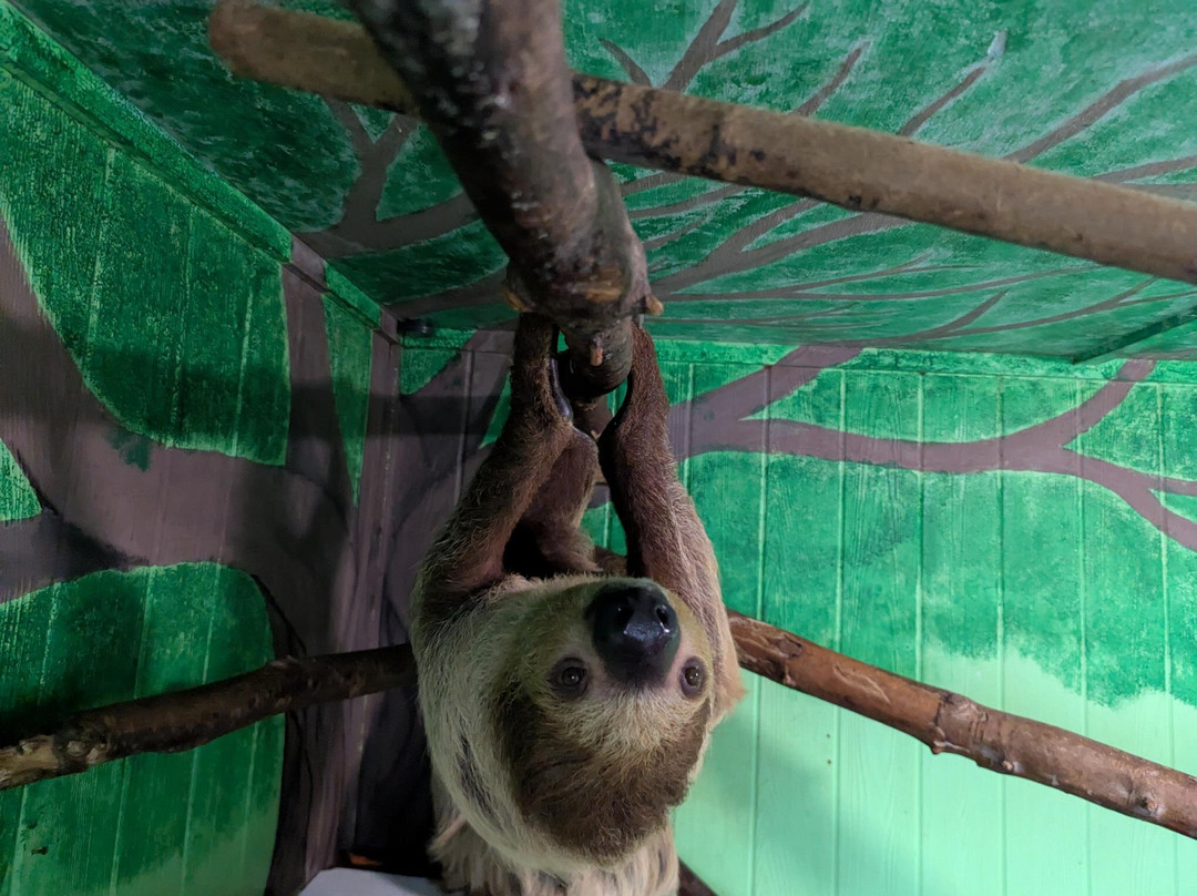 North Georgia Wildlife Park-Cleveland必去景点