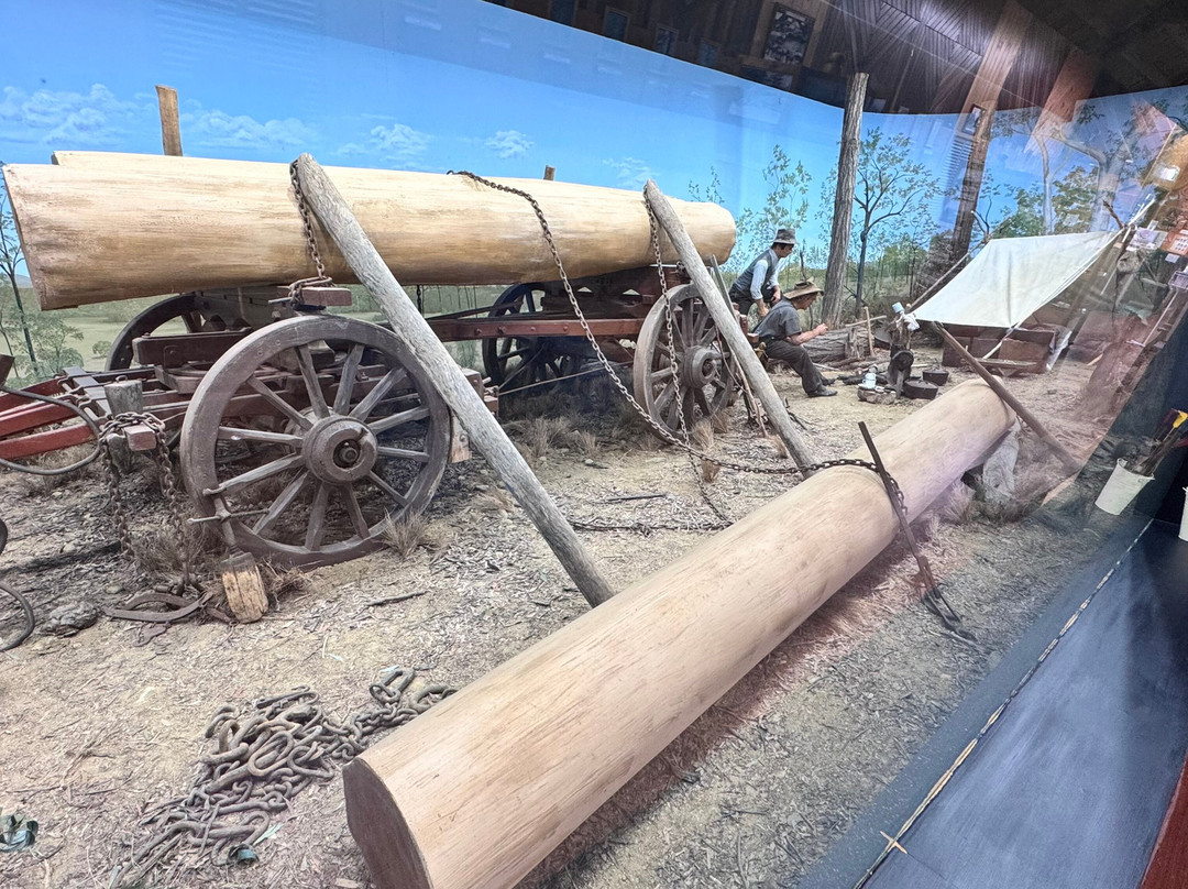 Wondai Visitor Information Centre and Timber Museum-Wondai必去景点