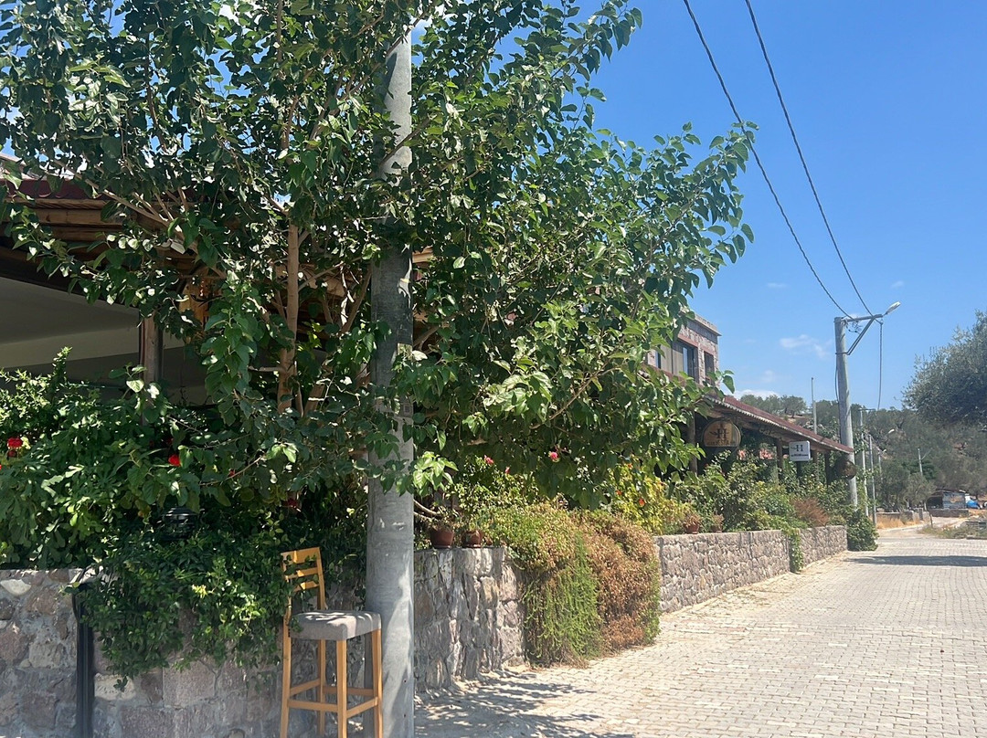 Assos Hestia Otel主图