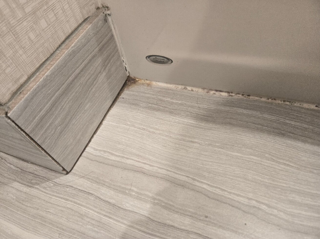 Holiday Inn & Suites Pigeon Forge Convention Center By IHG主图