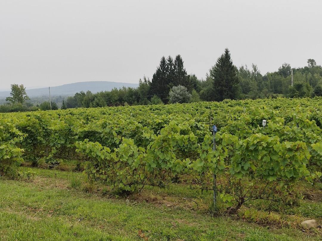 Domaine Les Brome-Fulford必去景点