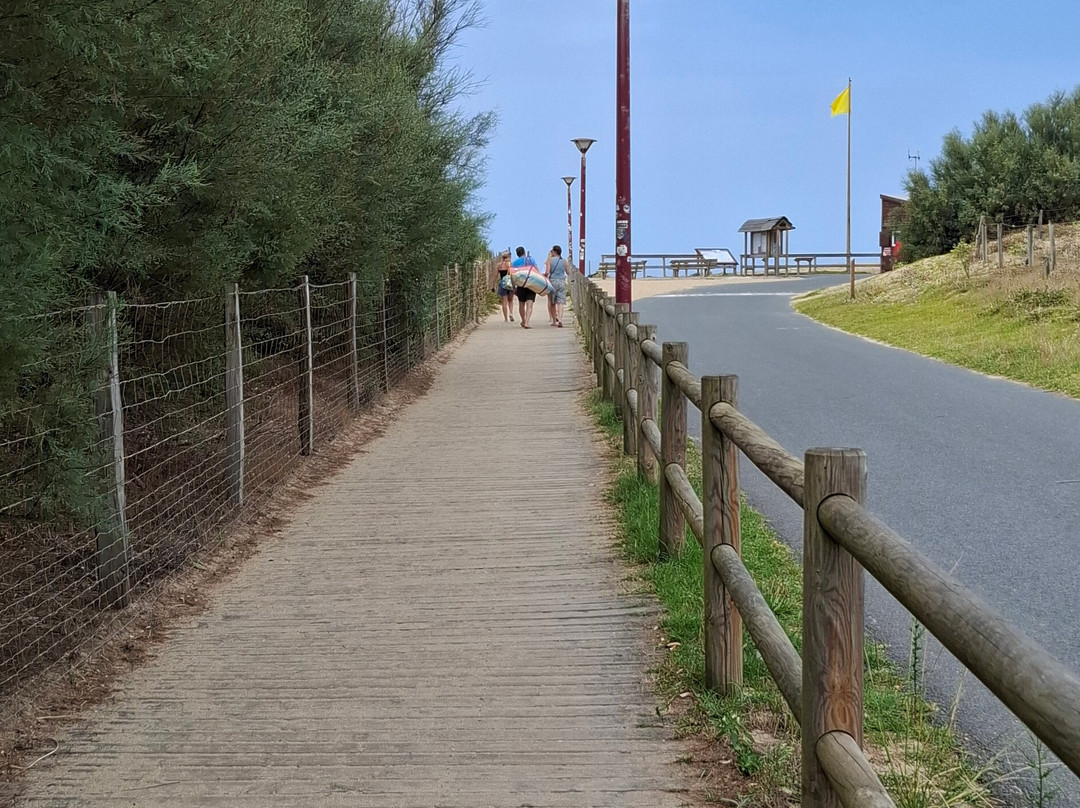 Beach of Tarnos-Tarnos必去景点