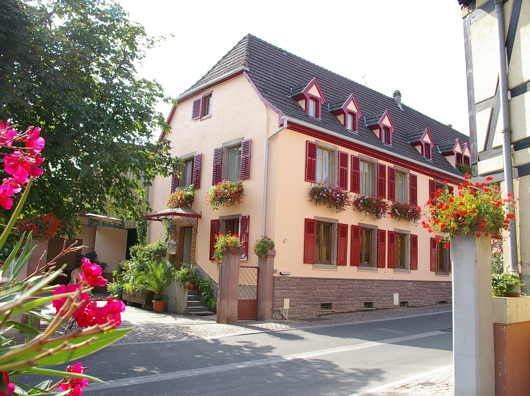 Domaine Aimé Stentz-维特塞姆必去景点