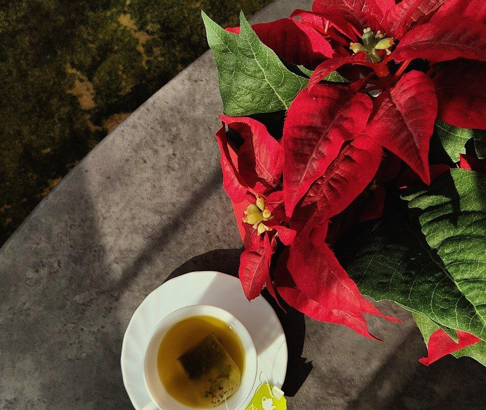 Petrovsky Passage Hotel主图