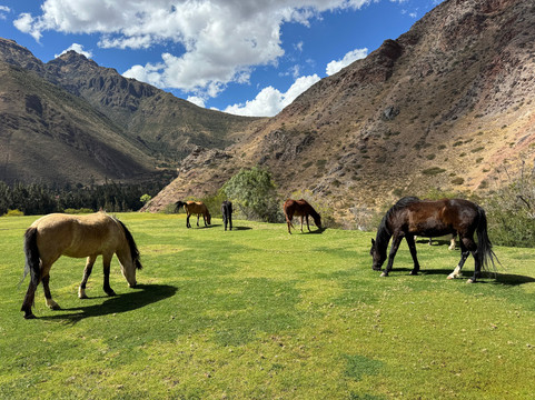 Salineras Ranch-乌鲁班巴必去景点
