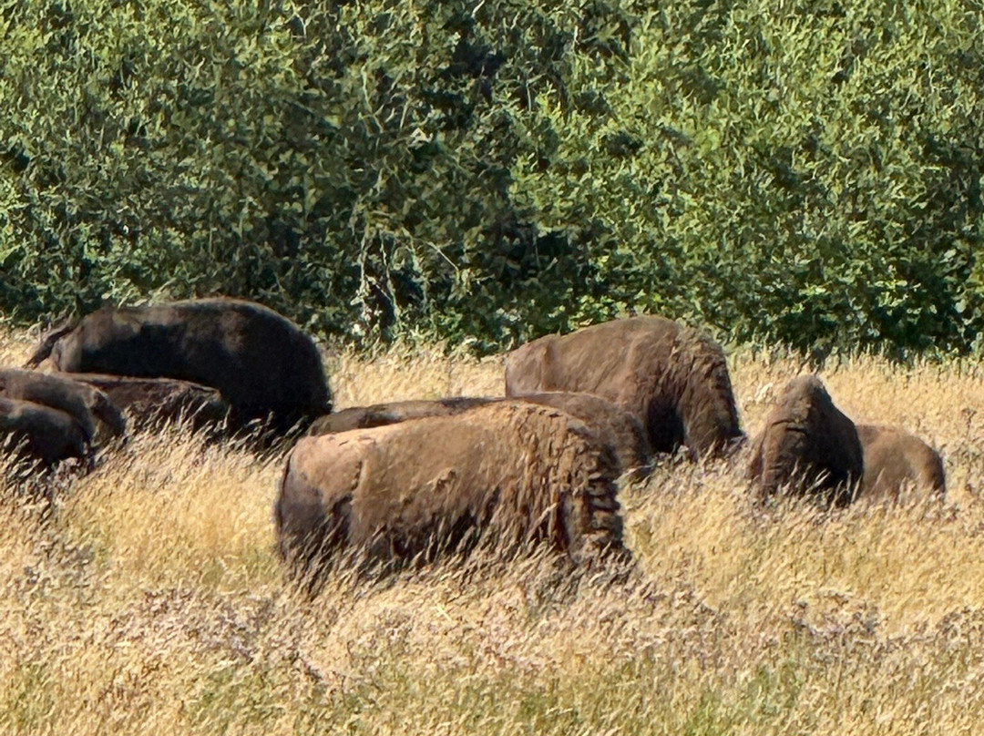 Cascade Trail-Concrete必去景点