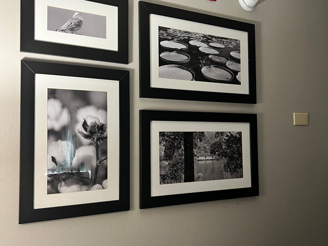 La Quinta Inn & Suites by Wyndham Huntsville Airport Madison主图