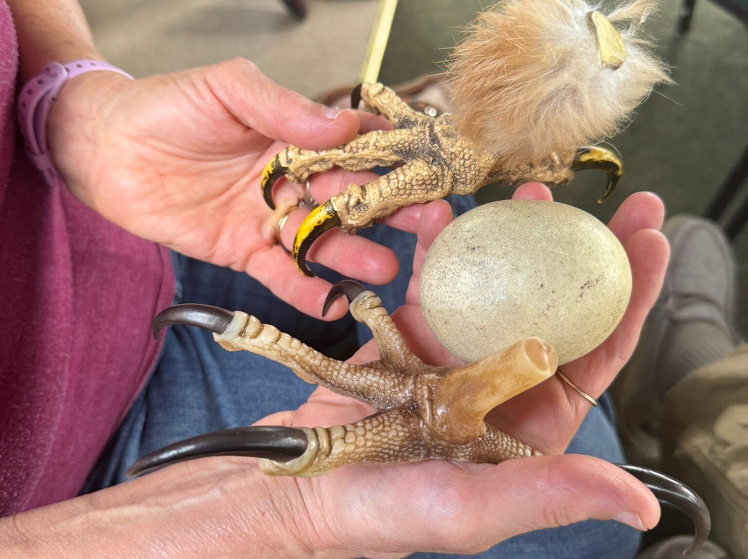 Voyageur Tour Boat Grand Tour-International Falls必去景点