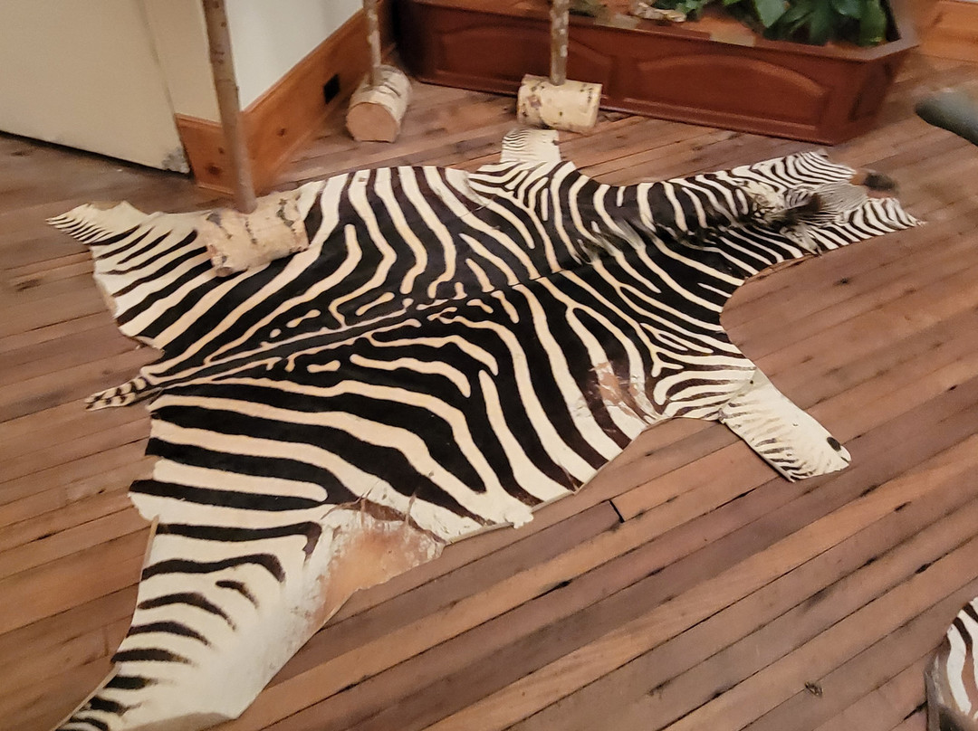 Bear-Ology-Plymouth必去景点