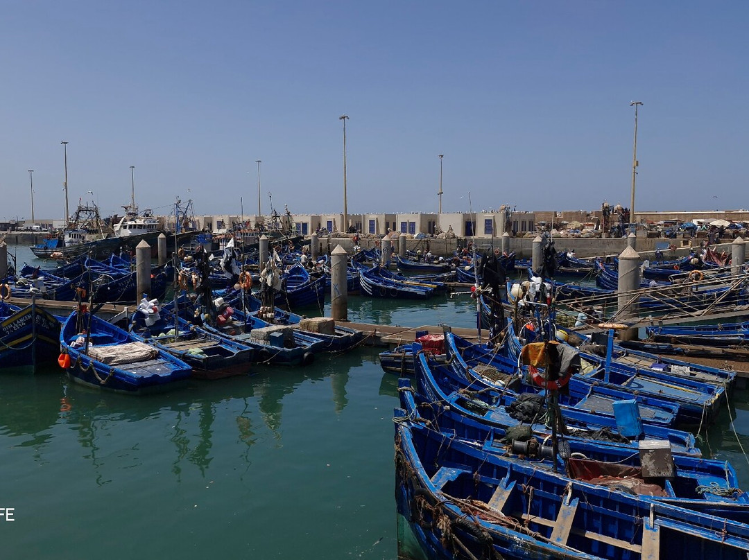 experienceamazingmorocco-马拉喀什必去景点