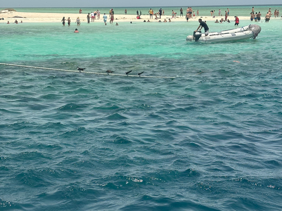 Isole Hamata-马萨阿拉姆必去景点