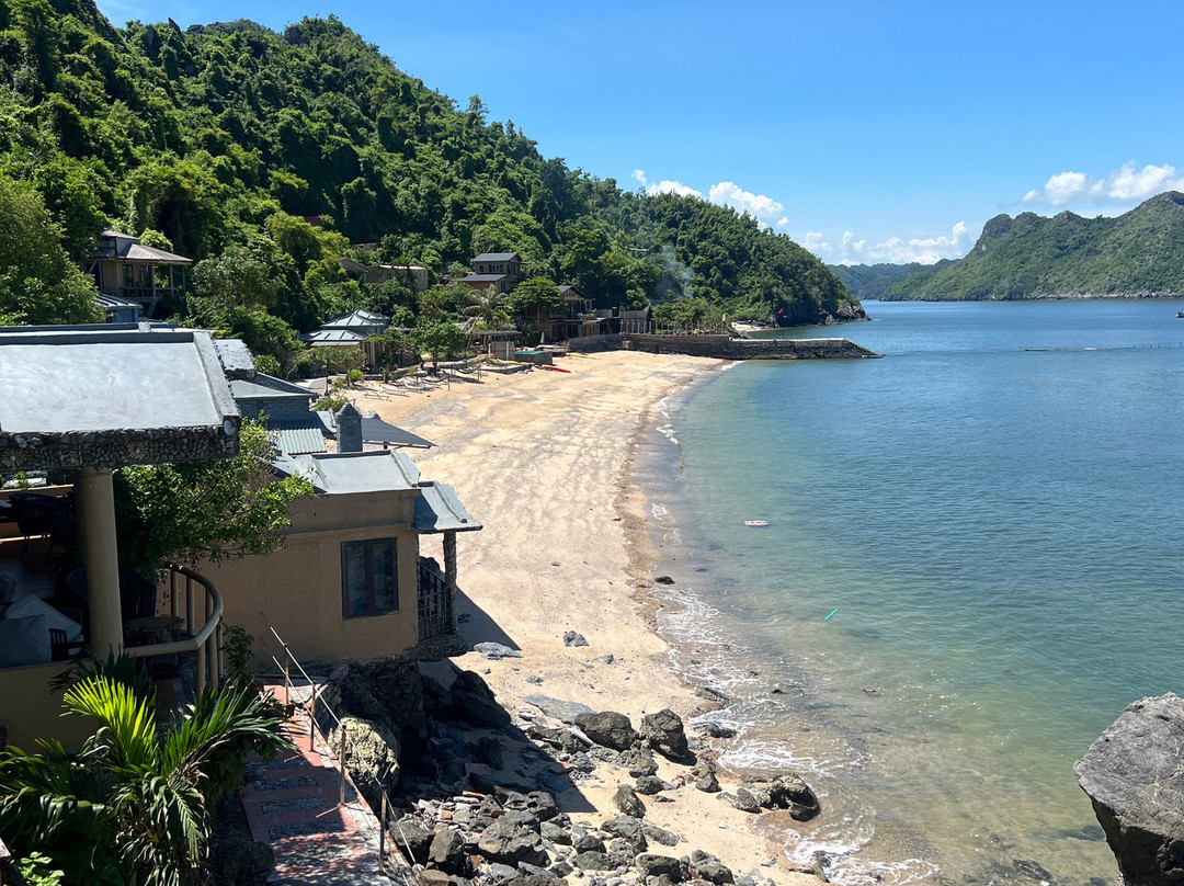 The One Island Escape-Cat Hai必去景点