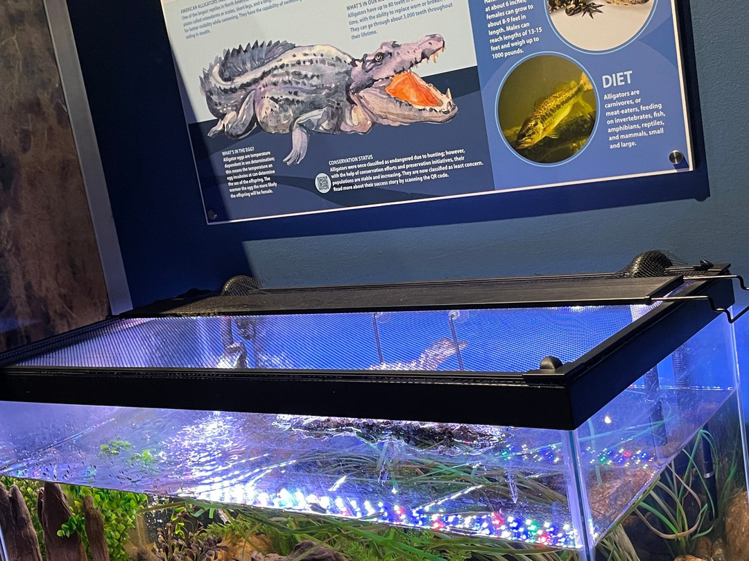 Living Shores Aquarium-Glen必去景点