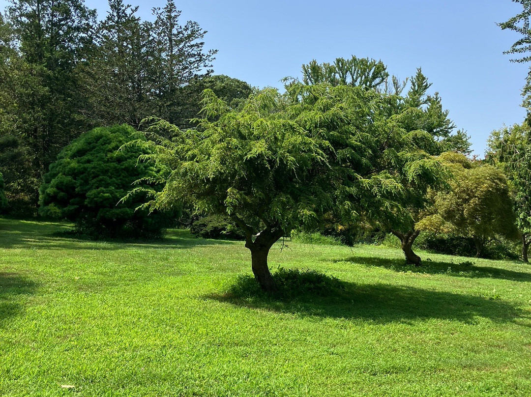 Holmdel Park-Holmdel必去景点