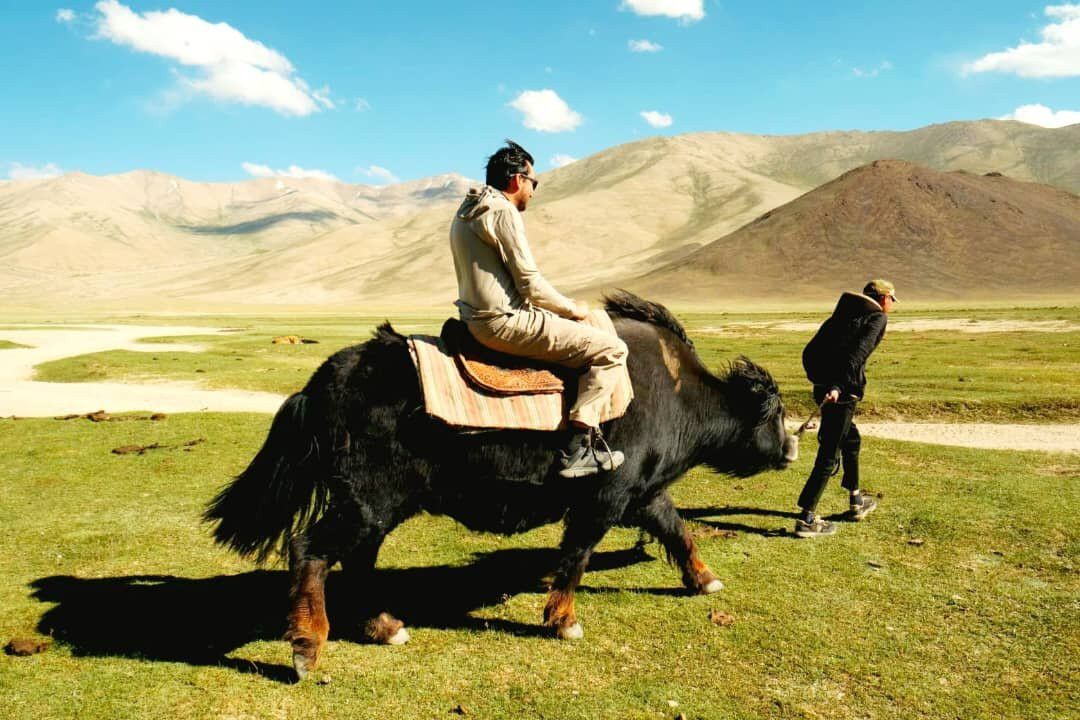 Pamir Discovery - Tajikistan Tours-杜尚别必去景点