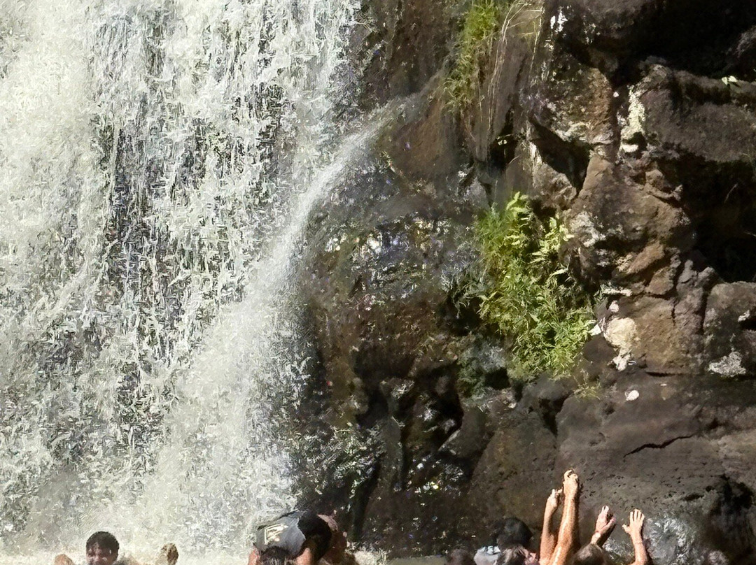 Waimea Falls-Pupukea必去景点