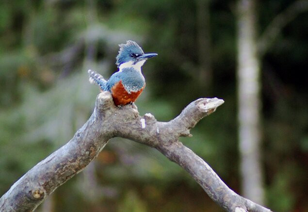 Turismo Explora Cochamó-Cochamo必去景点