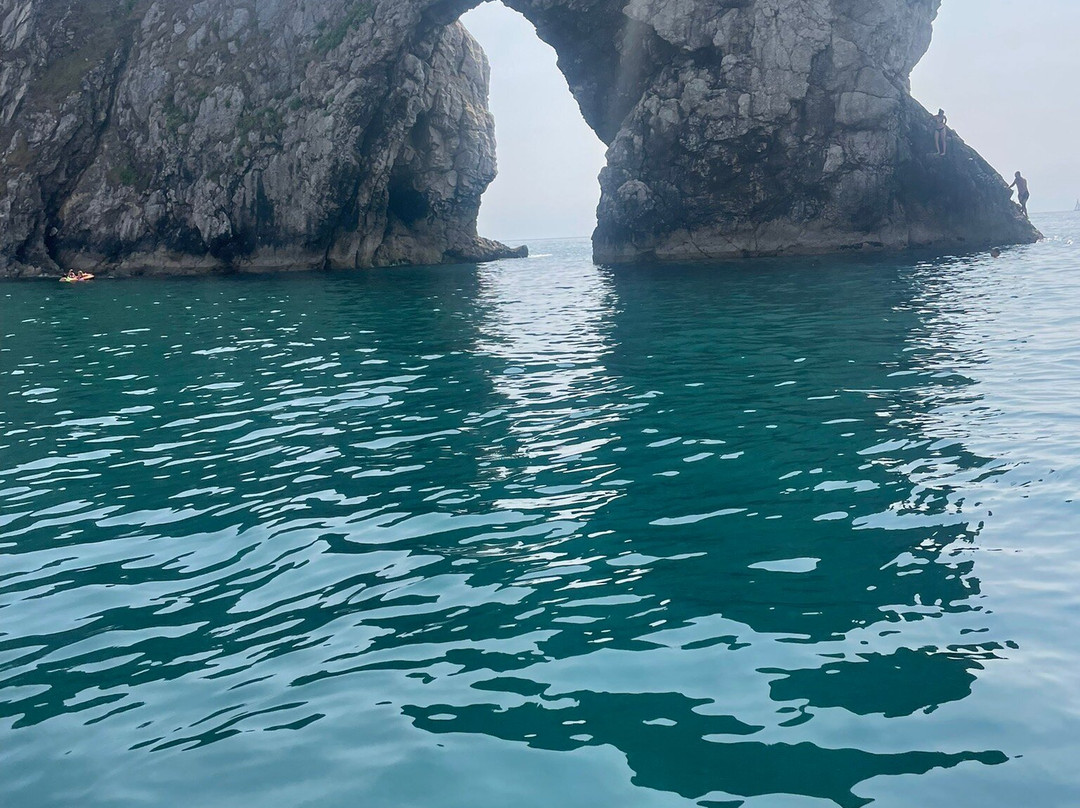 Jurassic Rib Rides-西拉尔沃思必去景点