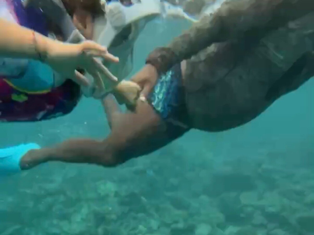 Dive & Sail Ellaidhoo-埃拉胡岛必去景点