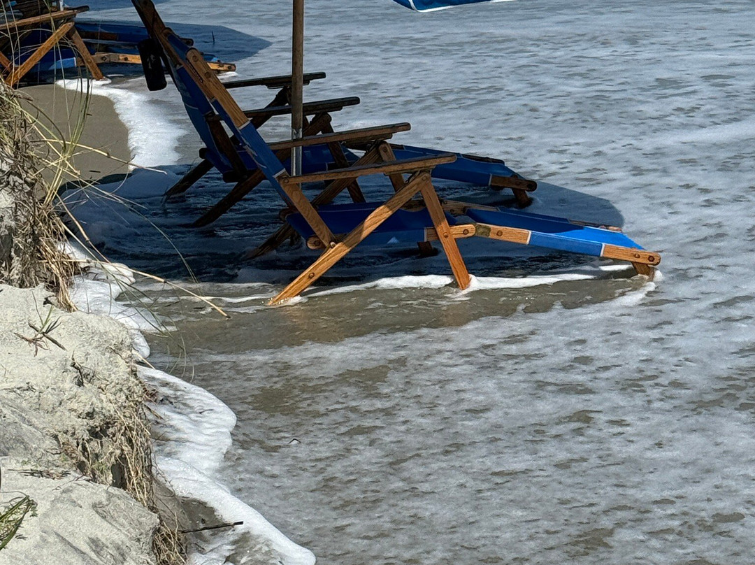Isle of Palms Beach-棕榈岛必去景点