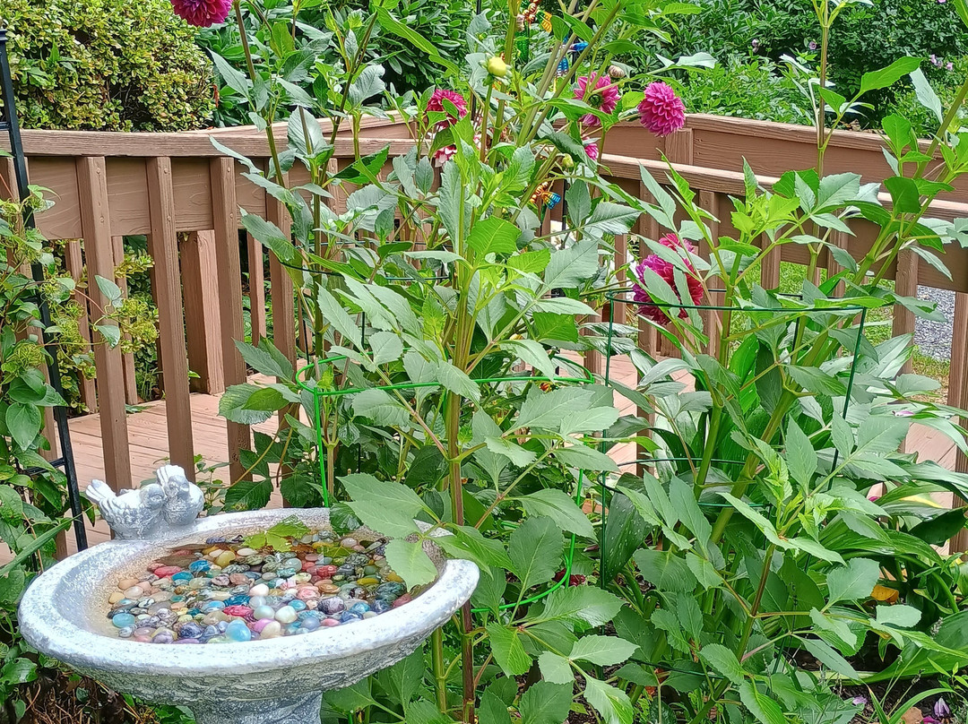 Maggie Valley Area Chamber of Commerce & Visitor Center-Maggie Valley必去景点