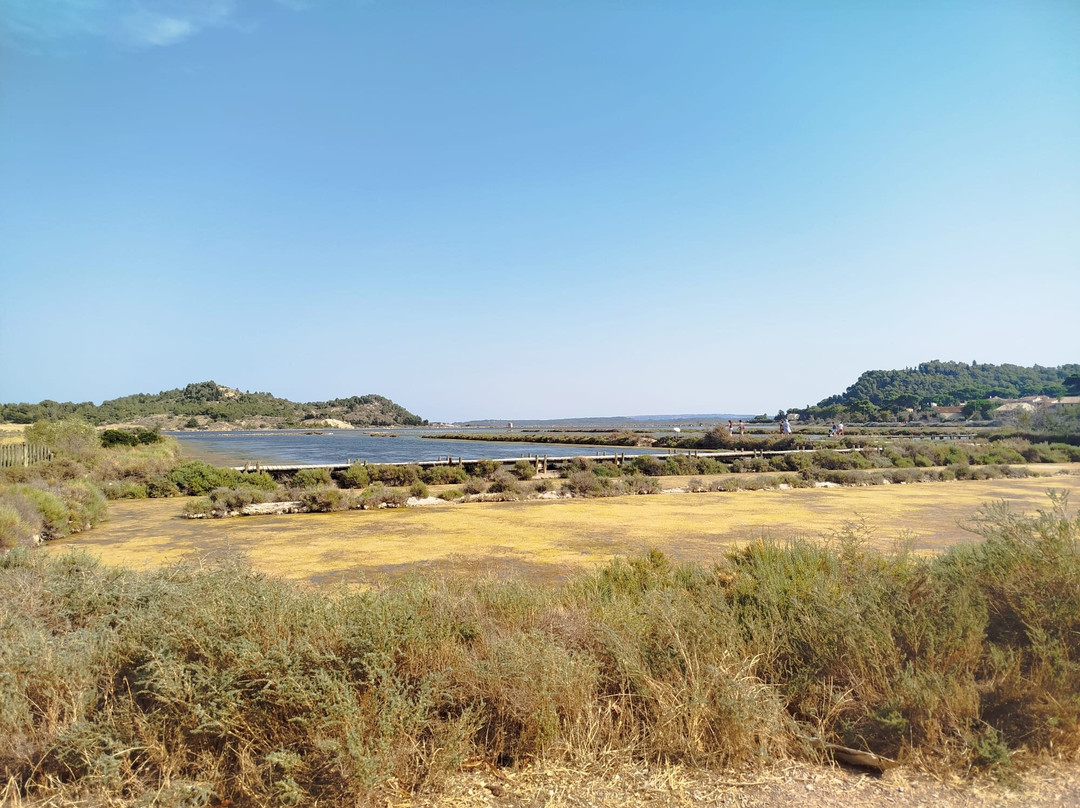 Etang Du Doul-Peyriac-de-Mer必去景点