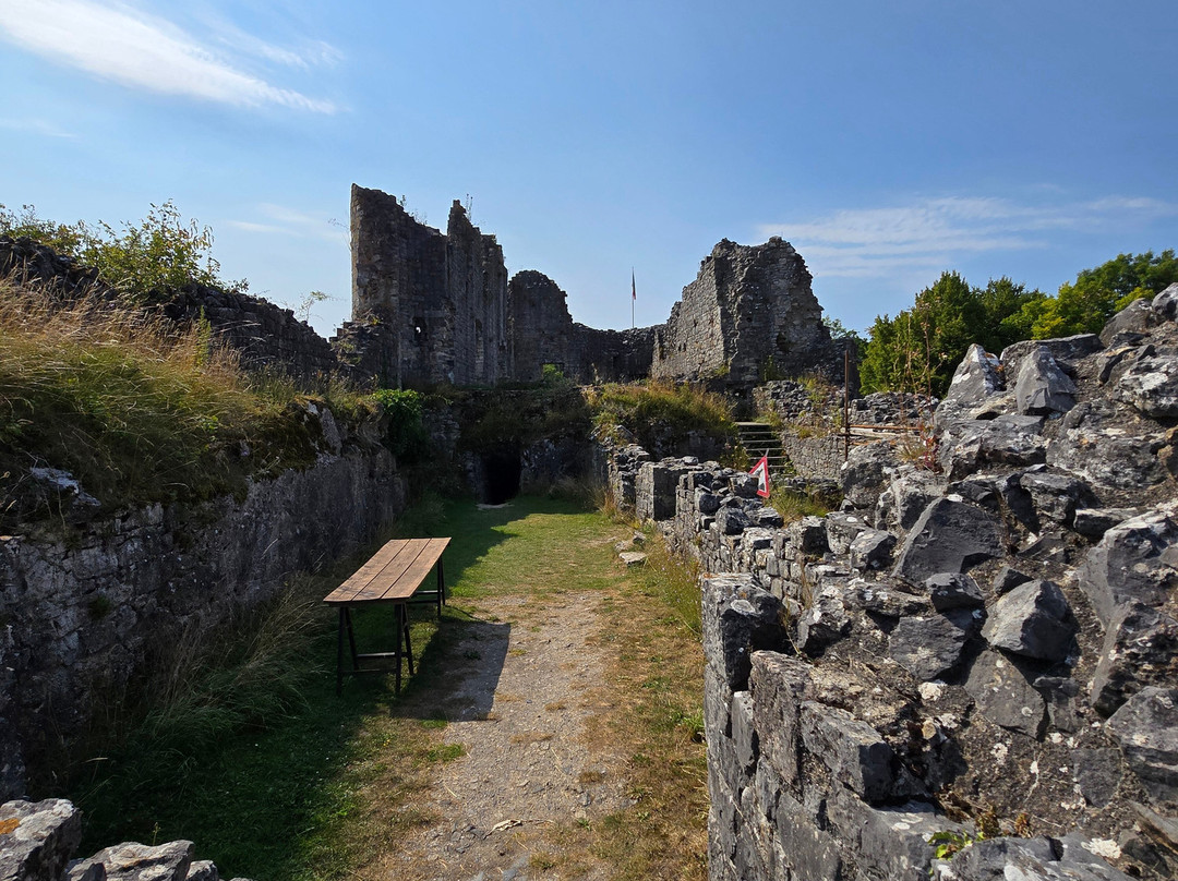 Les ruines du Chateau Fort de Montaigle-Falaen必去景点