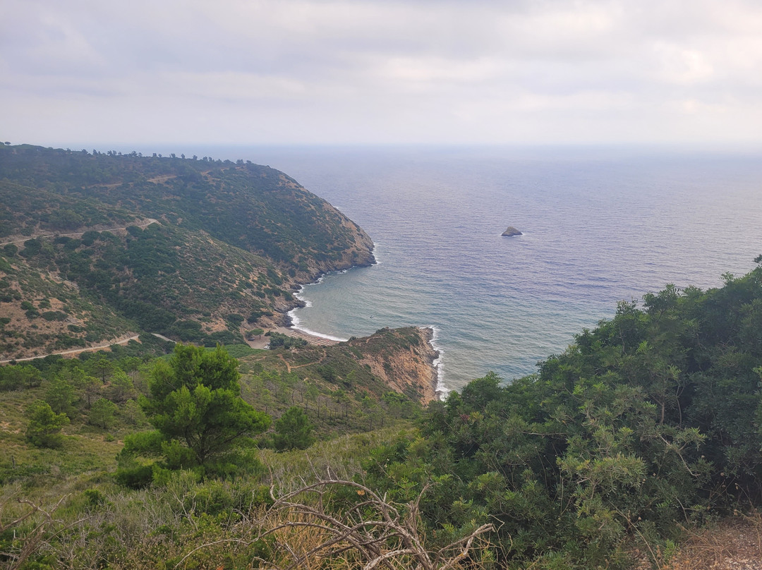 Bike Hub Tour & Rent Elba-Capoliveri必去景点