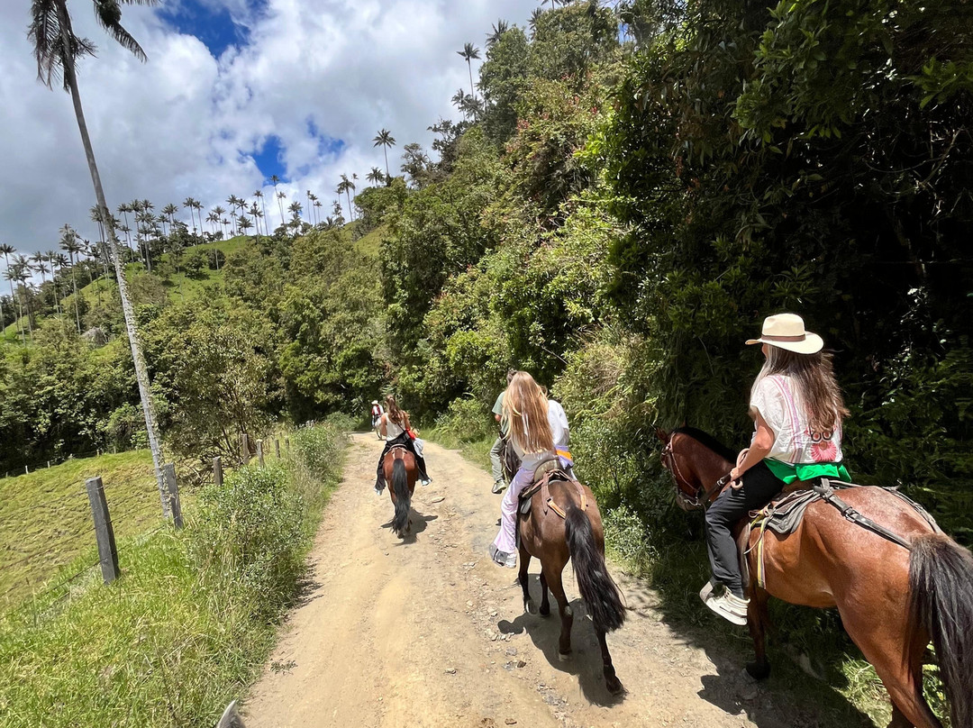 5to Elemento Tours-Boquia必去景点