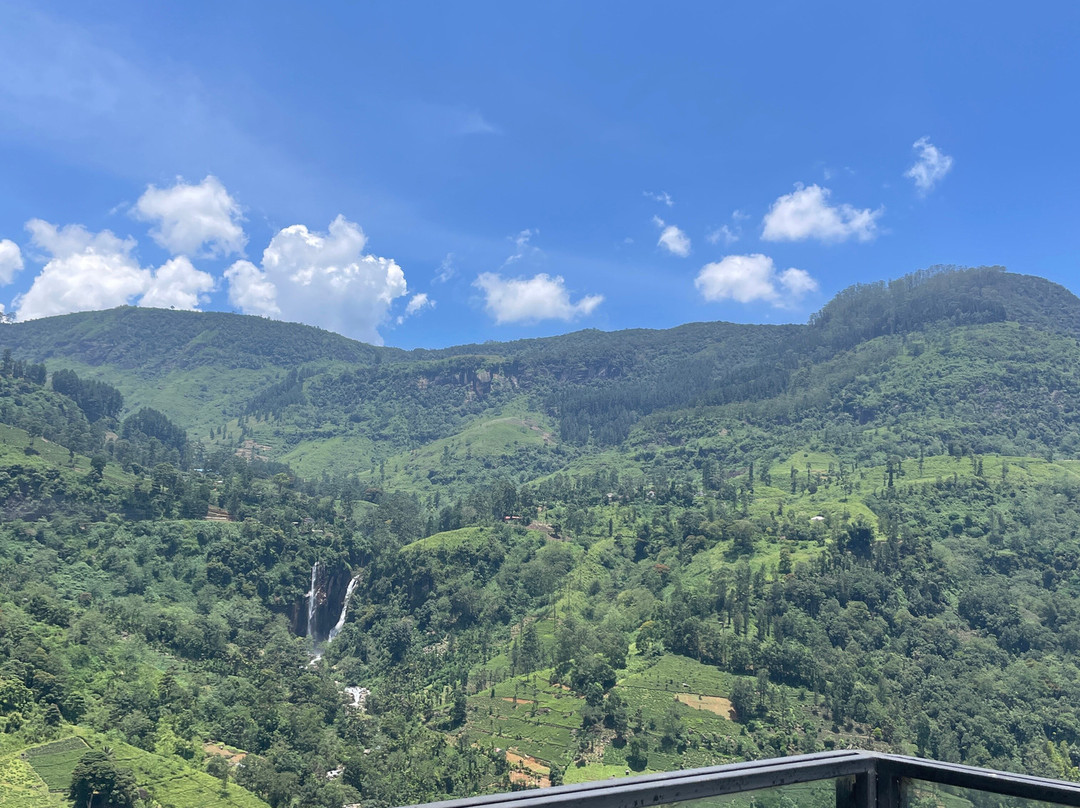 Oak Ray Tea Factory & Museum-拉马伯达必去景点