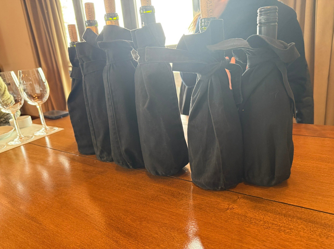 Bodega Piattelli Agrelo, Mendoza-阿格雷洛必去景点