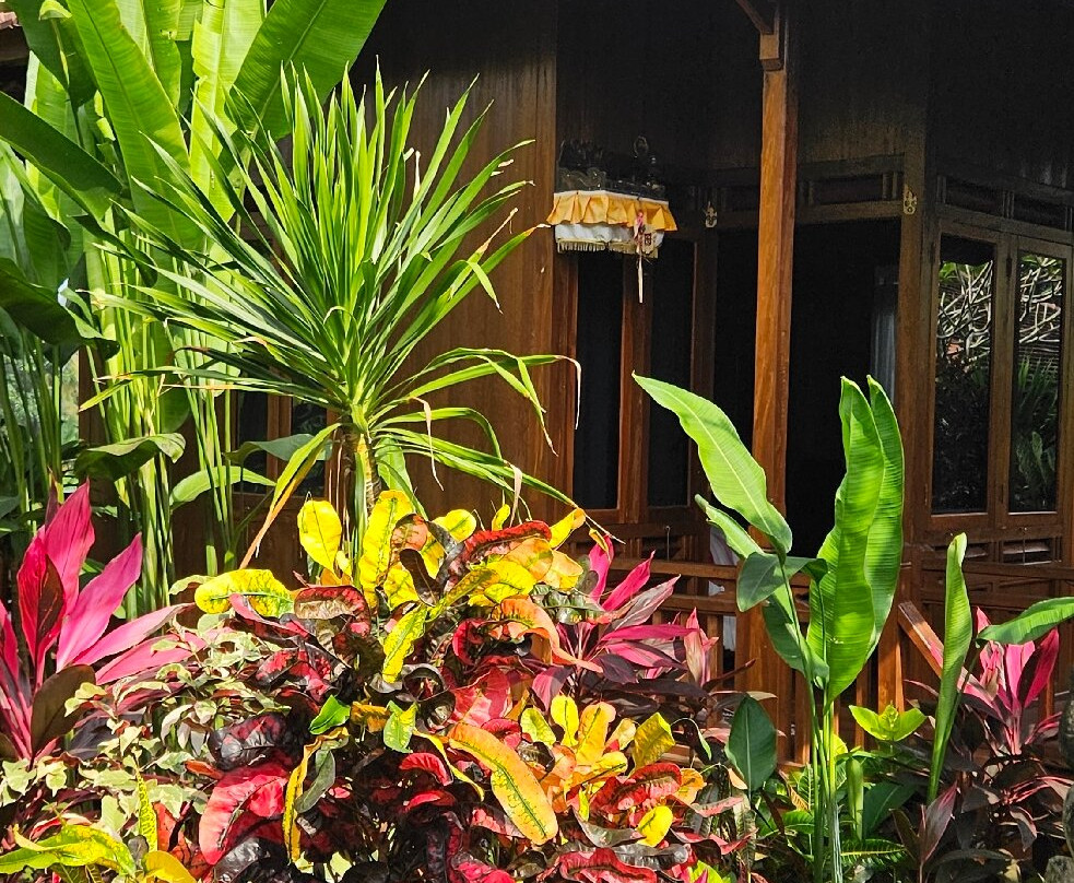 The Dukuh Retreat主图