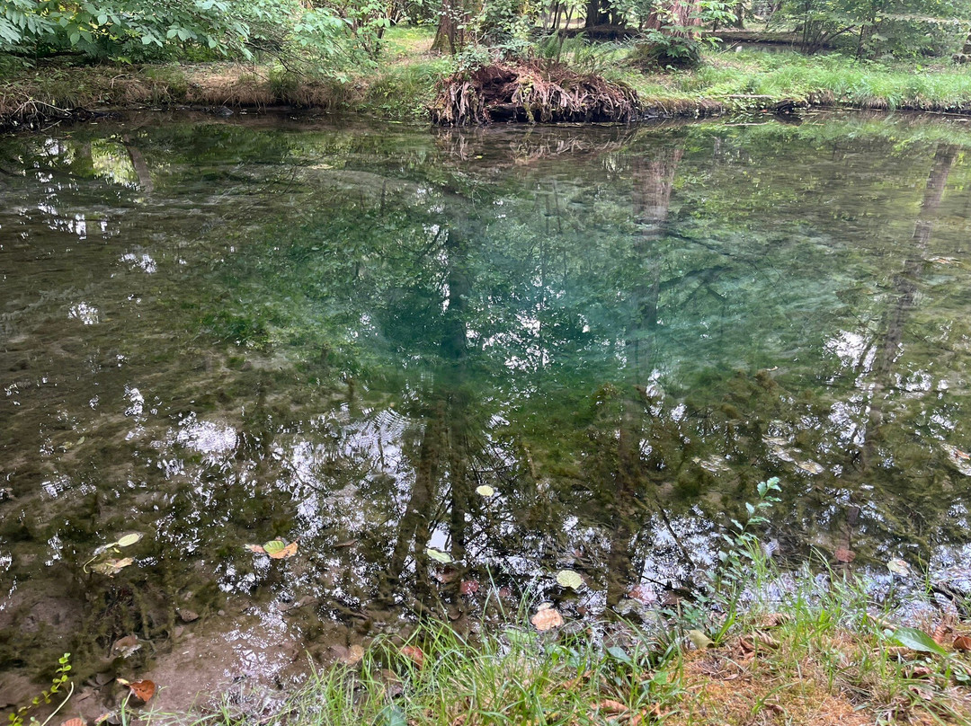 Chateau de Beaulon-Saint-Dizant-du-Gua必去景点