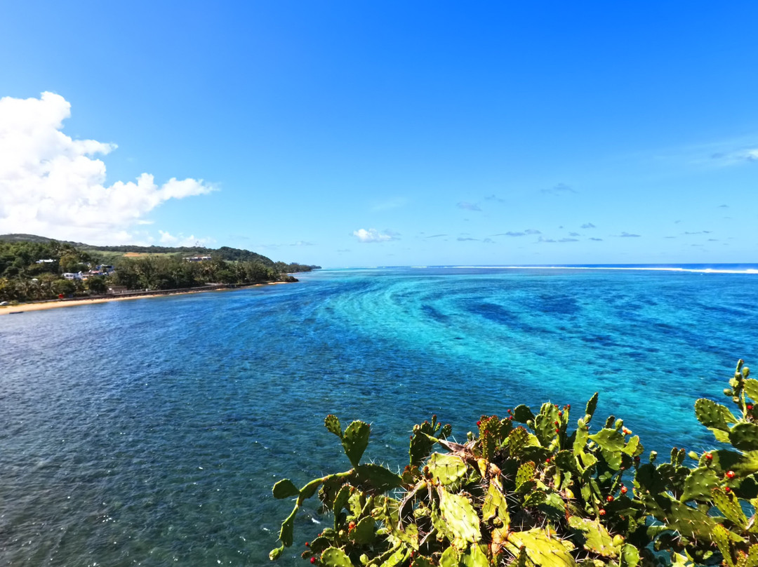 Maconde Viewpoint-Baie du Cap必去景点