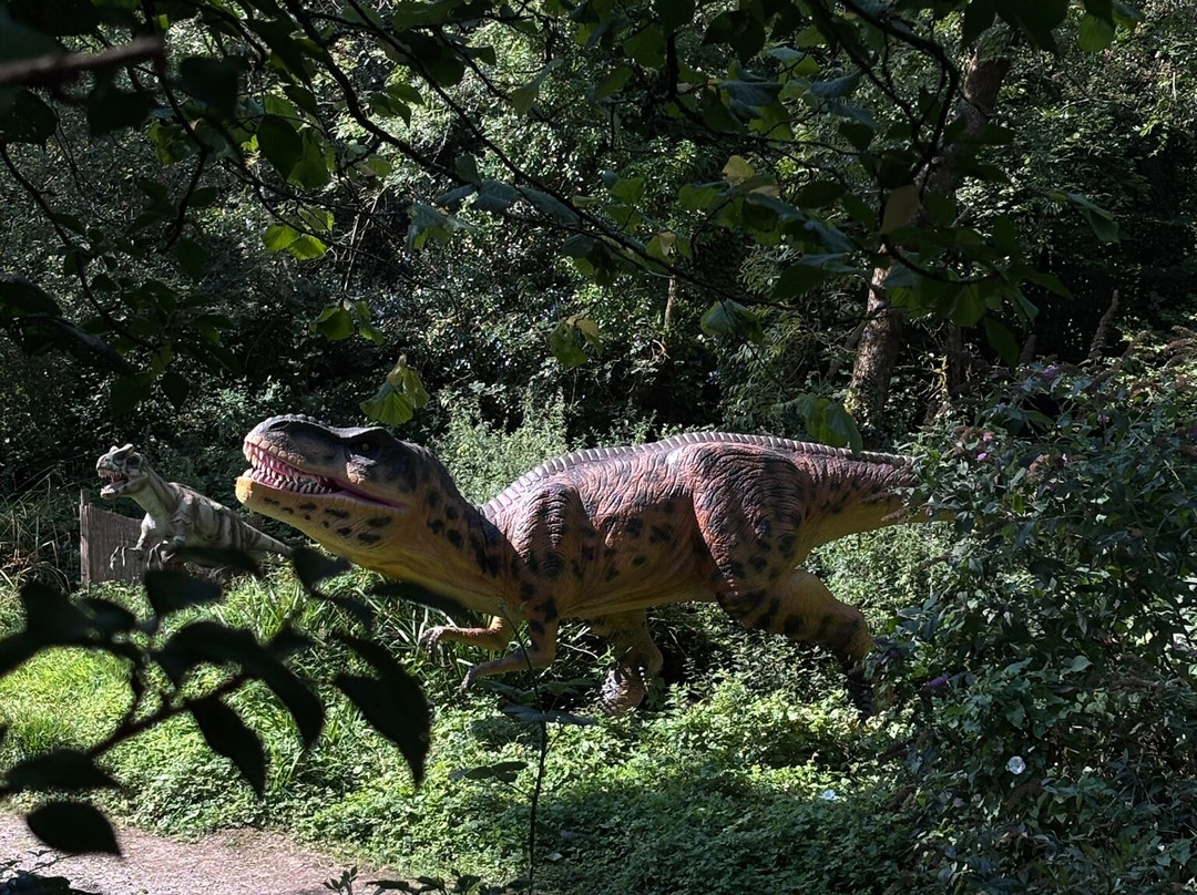 The Dinosaur Park-腾比必去景点