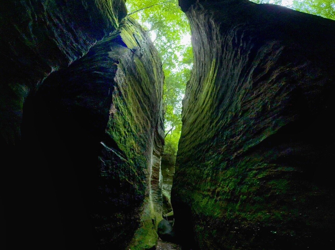 Liberty Park-特温斯堡必去景点