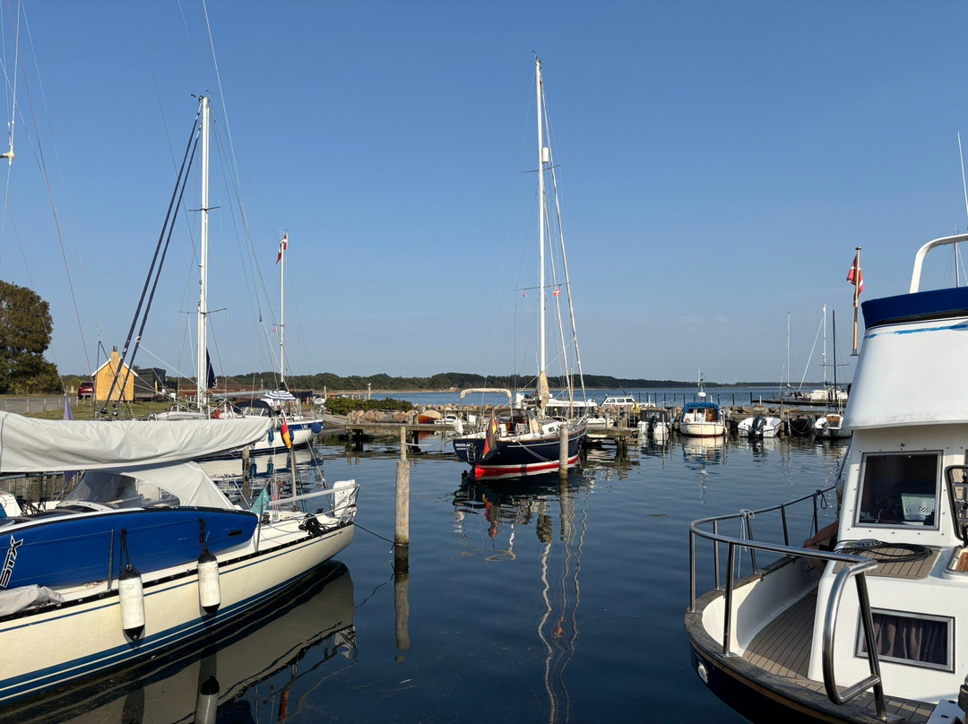 Maarup Havn-马璐必去景点