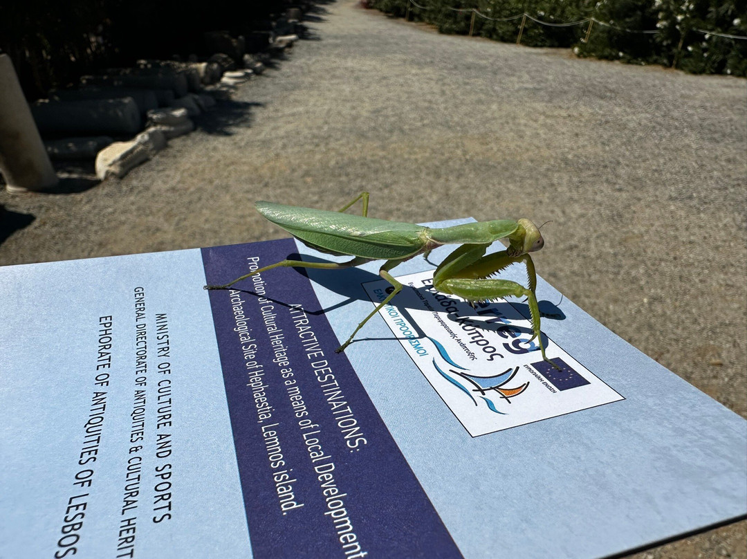 Ancient Theater-Lemnos必去景点