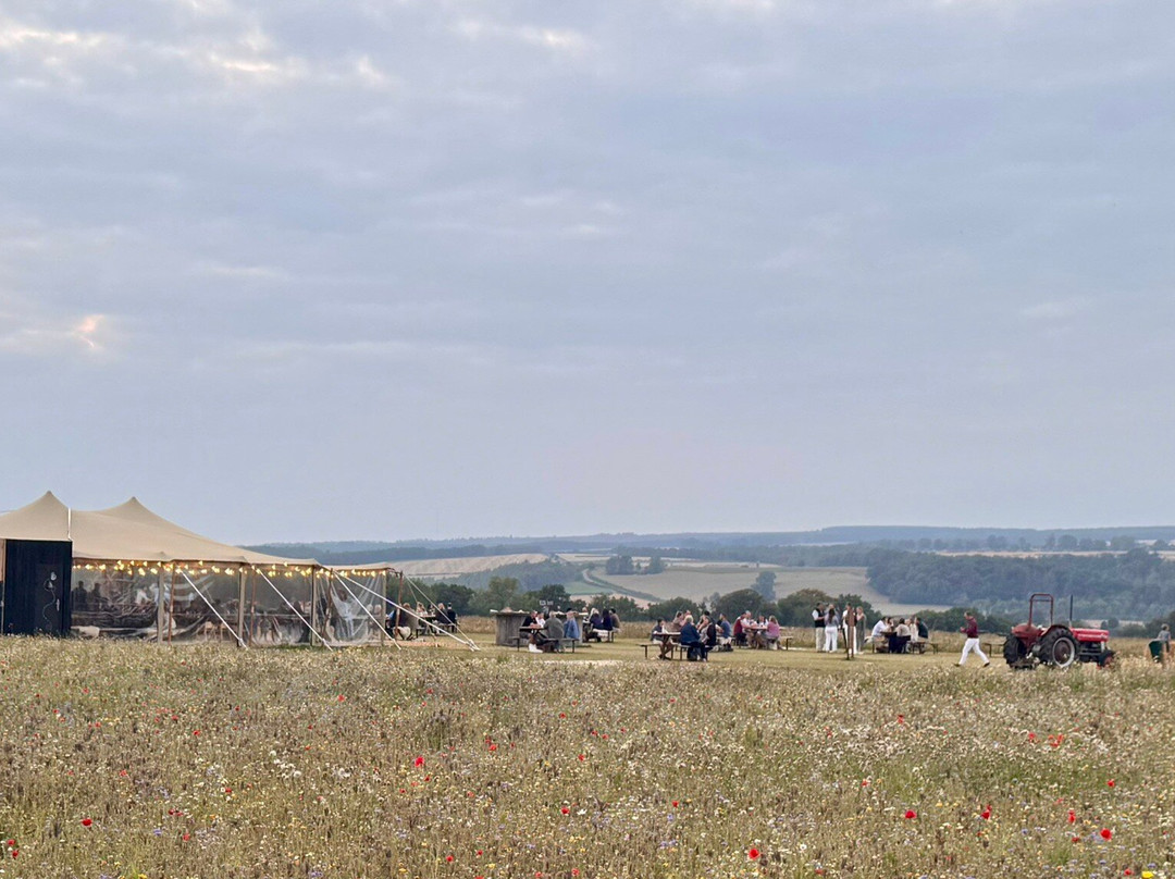 The Flower Belt-赫尔姆斯利必去景点