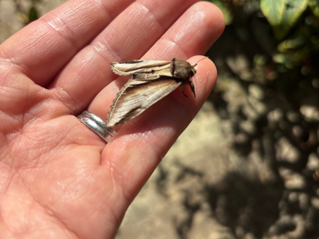 Birdworld-法纳姆必去景点