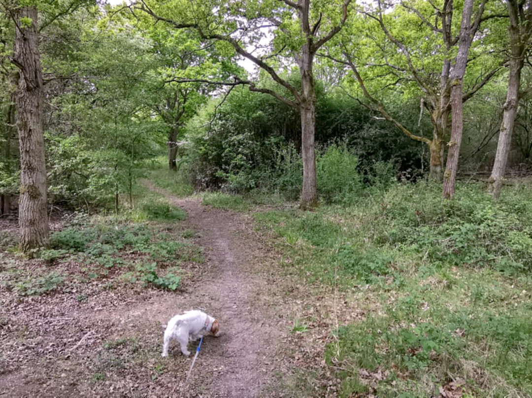 Stow Maries Halt Nature Reserve-Stow Maries必去景点