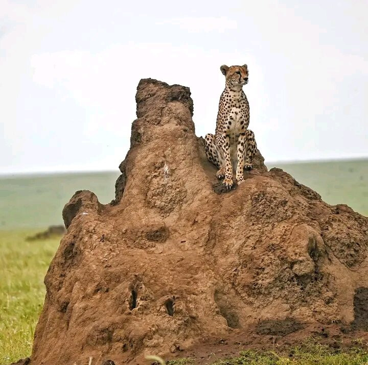 Stepclimb Adventures-莫西必去景点
